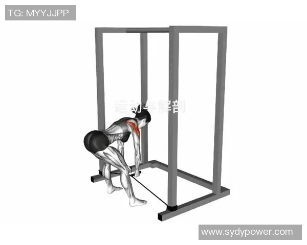 练后背的健身器材推荐与使用方法：如何通过器材锻炼背部肌肉