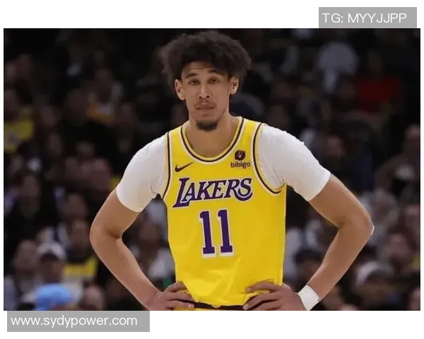 湖人替补两奇兵进步太大了！海斯稳固内线，拉拉维亚成最佳第六人