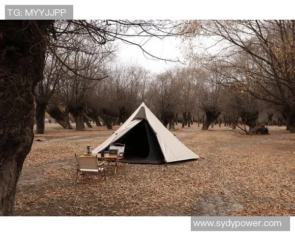 帐篷之美：探寻户外露营与自然共生的独特魅力与实用性