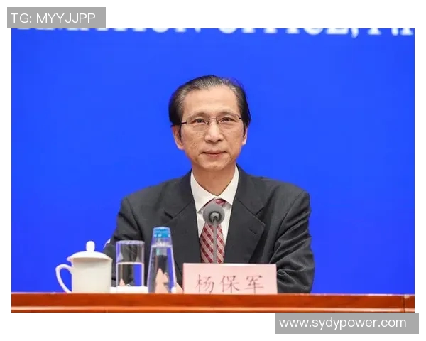 选择未来:民主选举如何引领社会发展 选择未来:民主选举如何引领社会发展